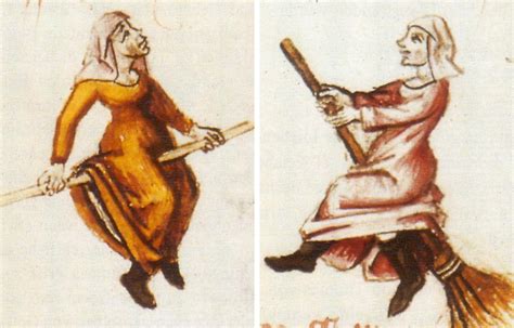 The Science of Broomsticks: What Makes a Witches' Broom Different?